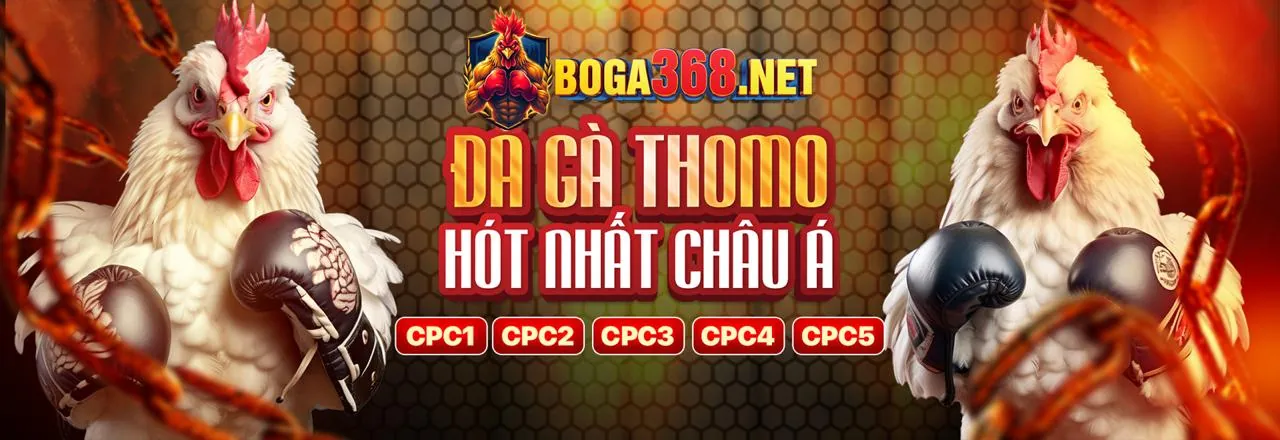 Tương lai của hl8 casino
